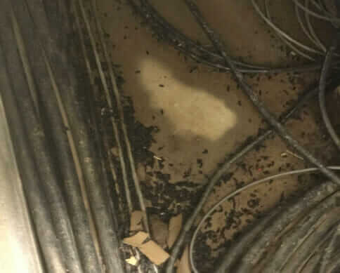 Bio-One of Charlotte, a team you can rely on.