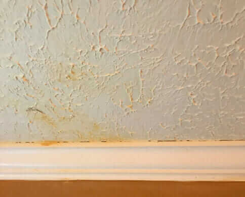 Bio-One of Charlotte, a team you can rely on.